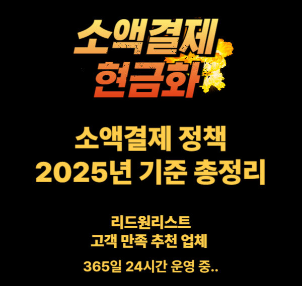 소액결제 정책의 이해
